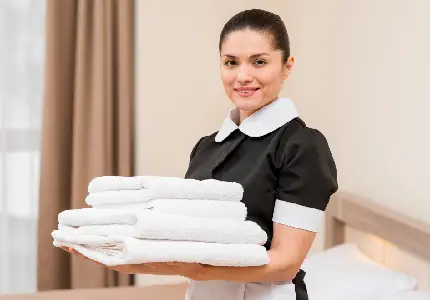 Domestic Work Service